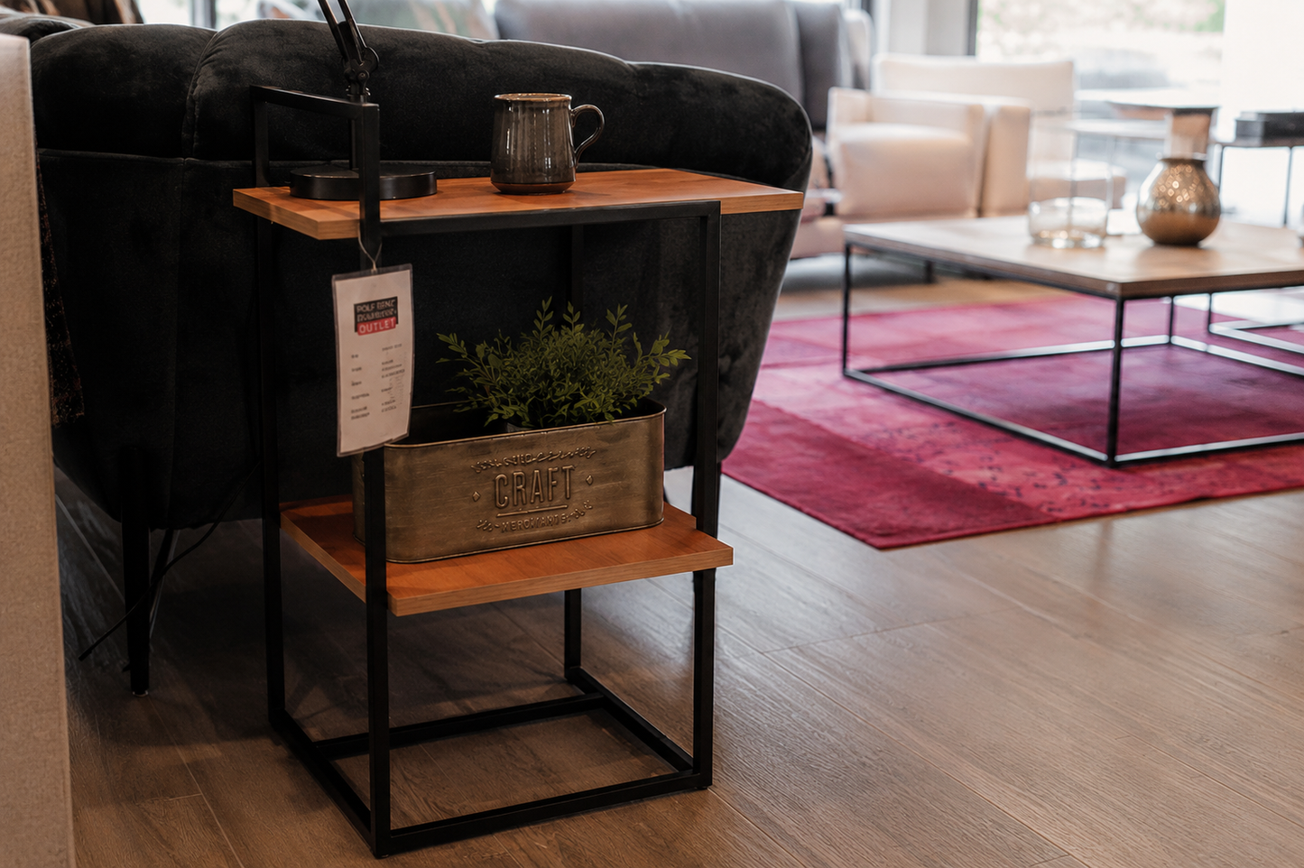 Rolf Benz Couchtisch Regal 984