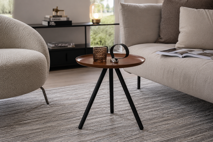Rolf Benz Couchtisch 973