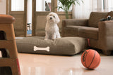 Fatboy® Doggielounge L Canvas Recycled