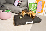 Doggielounge Olefin Large